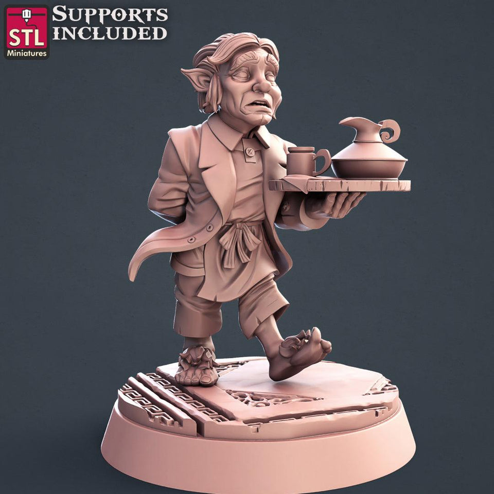 3D Printed STL Miniatures Guild Masters Set 28mm - 32mm War Gaming D&D - Charming Terrain