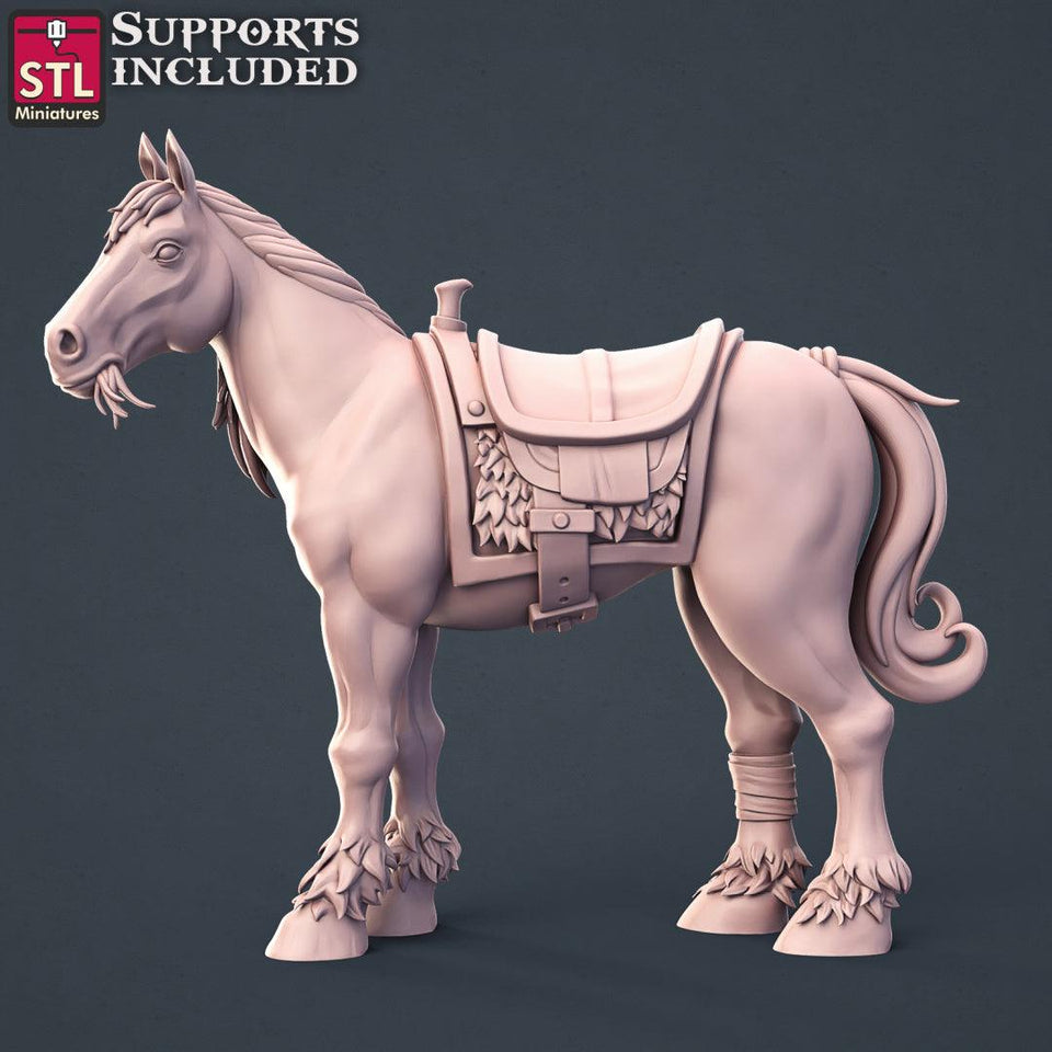 3D Printed STL Miniatures Horse Trainer Set Fantasy NPC 2 | 28 - 32mm War Gaming D&D - Charming Terrain
